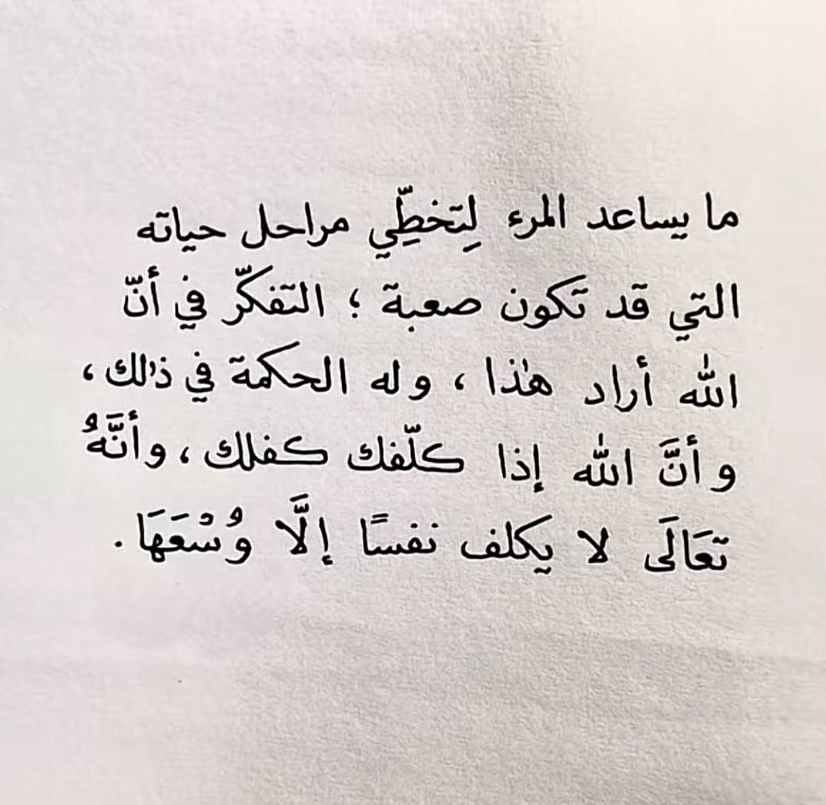 نجود العلي tweet media