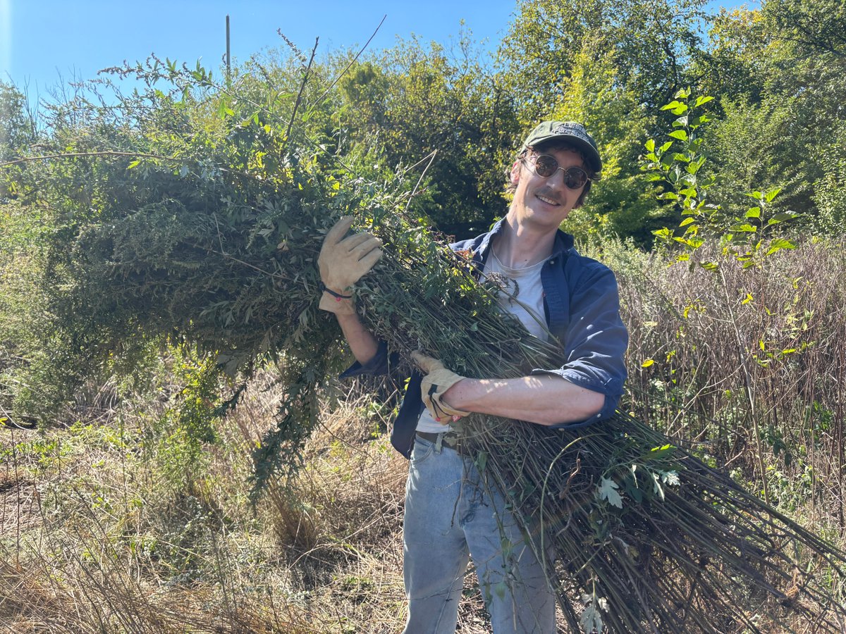 wildtomorrow's tweet photo. 🌿 Team Wild Tomorrow Gets into the Weeds! 🌿
Our NY team became Green Mambas 🐍 and joined the Brooklyn Greenway Initiative &amp; Student Conservation Association to restore Brooklyn Naval Cemetery — pulling invasives &amp; watering new trees!
#WildTomorrow #BrooklynGreenway https://t.co/lkSet5vi7f