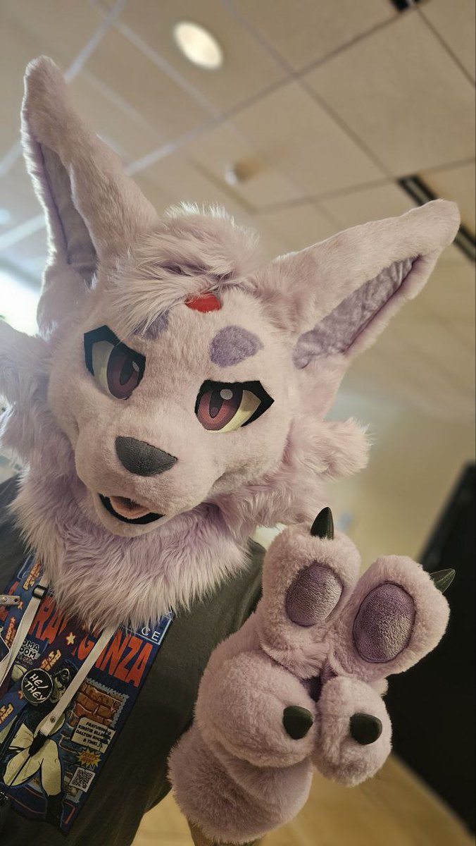 Techy Teqi tweet media