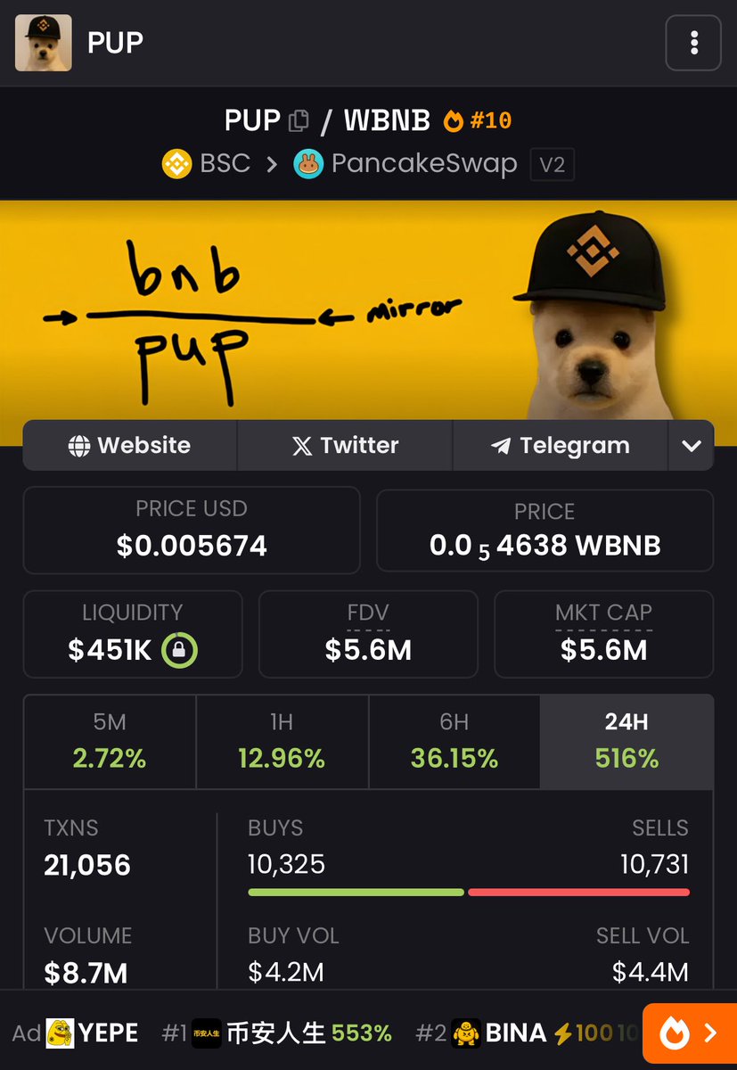 cryptoexflow's tweet image. I havent bought meme coins for a long time When I first entered the market it was 2021 While I had no capital I bought coins from the BNB network and earned money Now Im excited again with $PUP on the same network I wont care if it goes to 0 because I can feel it. give her time🙏🏻