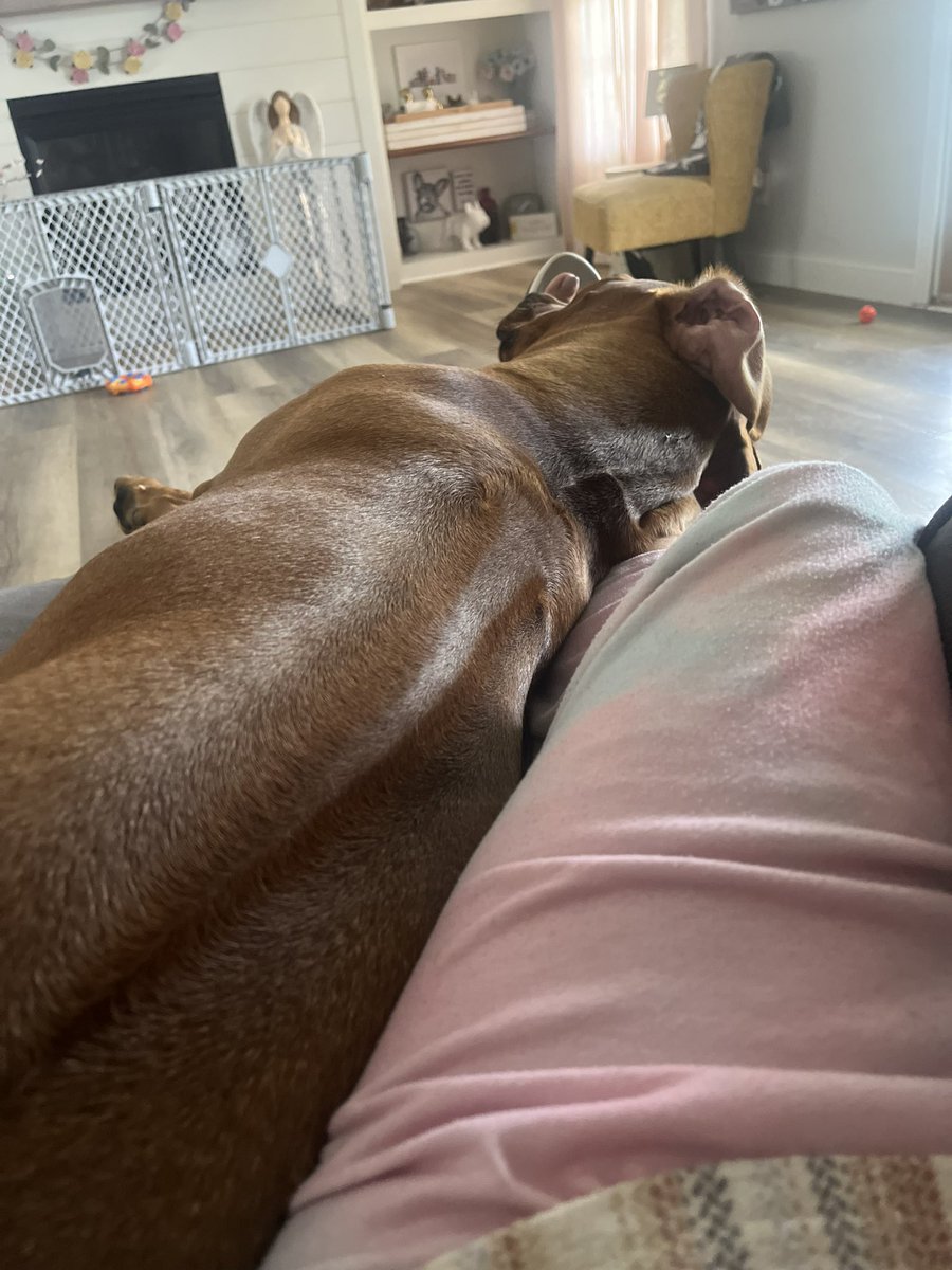 mom2HH&AV tweet media