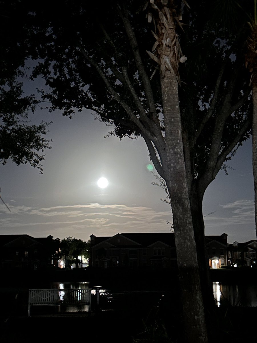 Sharon A  Laflamme tweet media