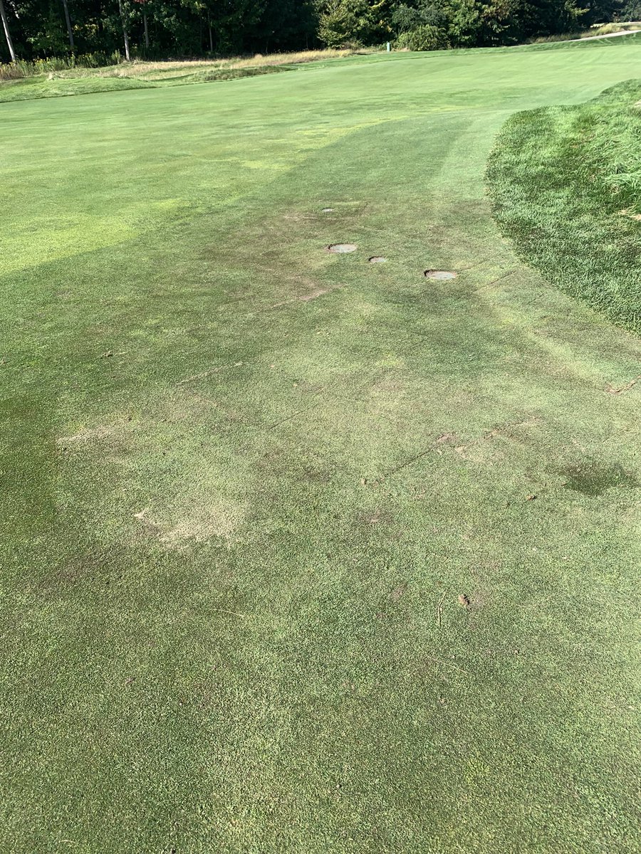 Connor Dickson tweet media