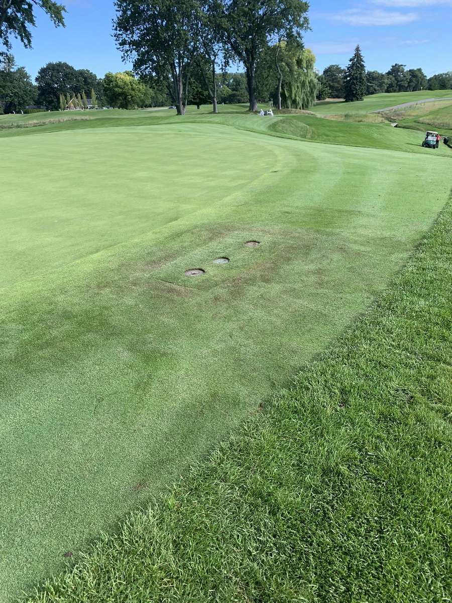 Connor Dickson tweet media