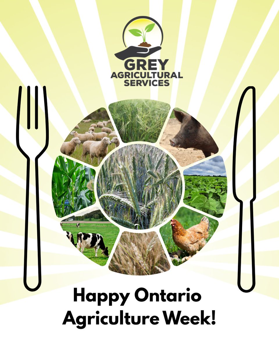 GreyAgServices's tweet photo. We appreciate our farmers all year round — but #ONTAgWeek is a good reminder to pause and recognize the hard work, knowledge, and care that feeds our communities. 🌾💚
#LoveONFood #GreyAg #FarmON https://t.co/tnXzC6kquf