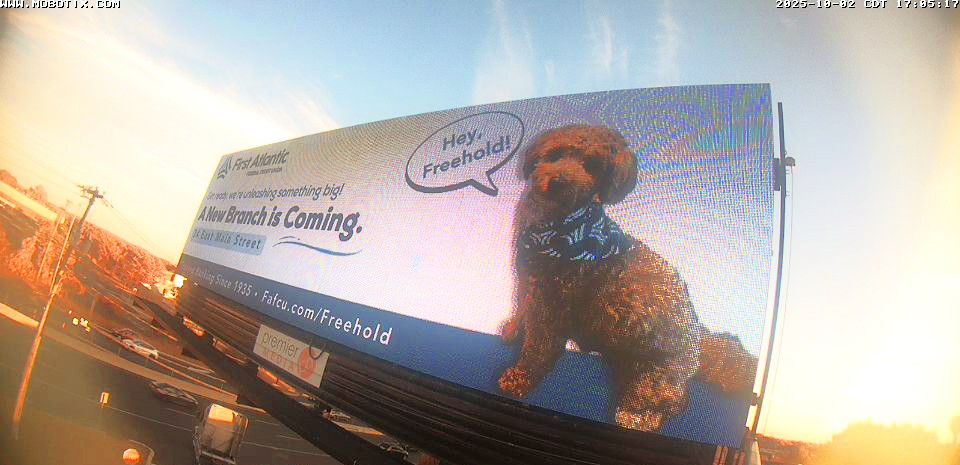 FirstAtlanticCU's tweet image. Catch us lighting up the skyline! Our brand-new digital billboard is LIVE in Old Bridge and yes, that adorable pup is proudly announcing our newest branch! 

We&apos;re excited to share something BIG with you!
- Route 9, Old Bridge
-  fafcu.com/freehold2025