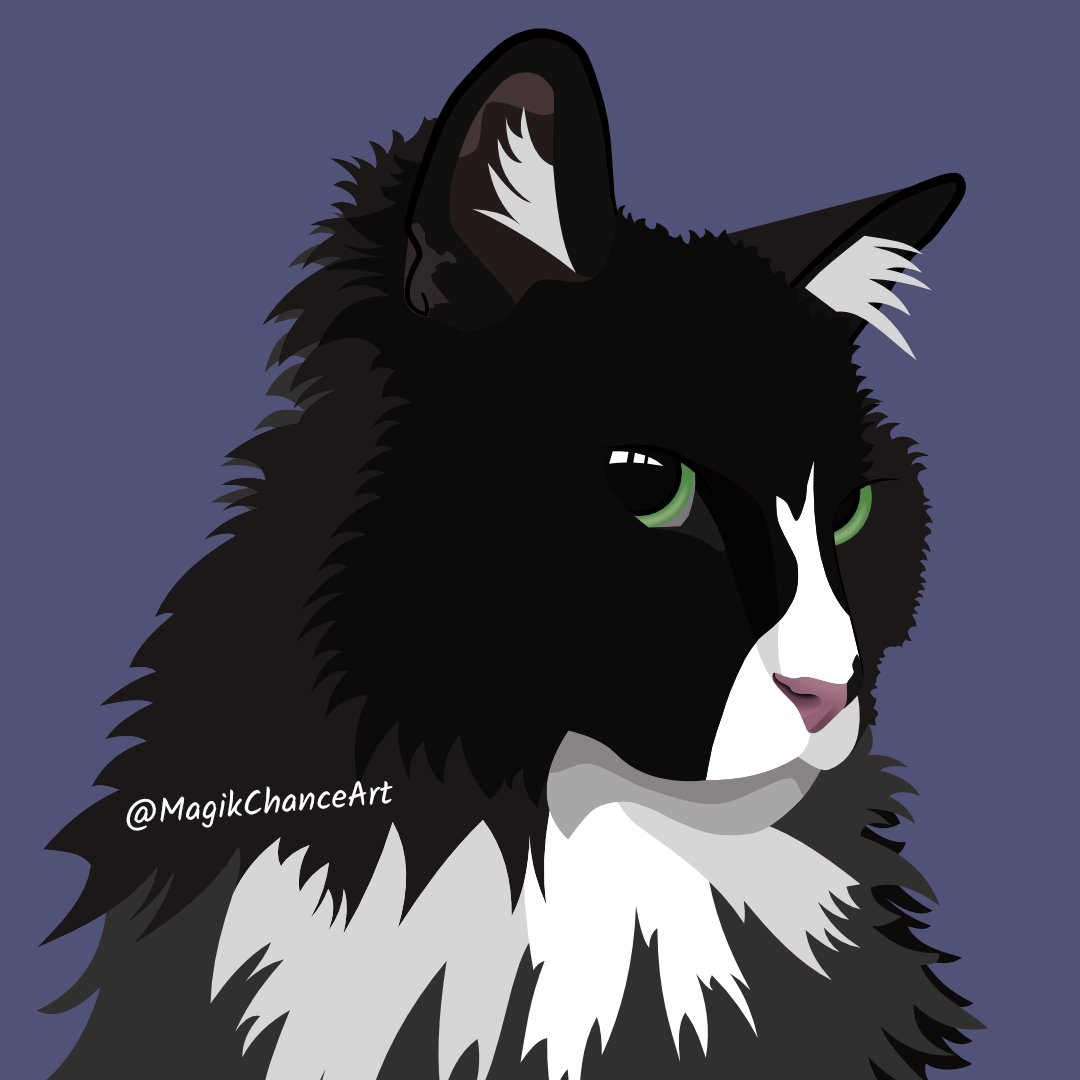MagikChanceArt's tweet image. The kitty is done! Also my new profile pic.

#vectorart