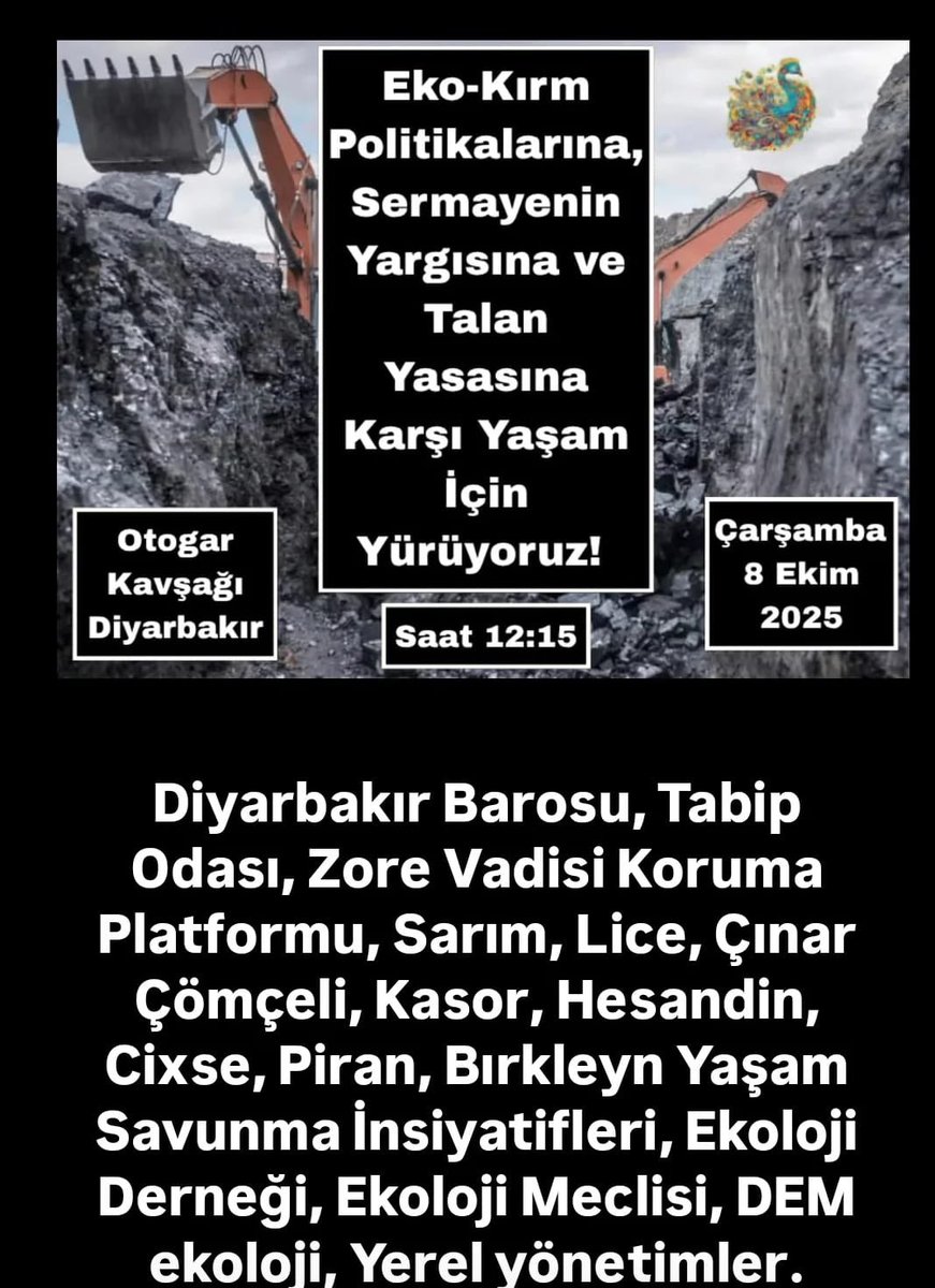 Zore Çayı Yaşatma Platformu tweet media