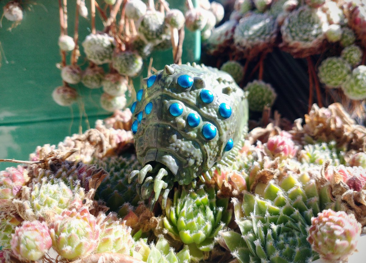 Wizards0nly tweet media