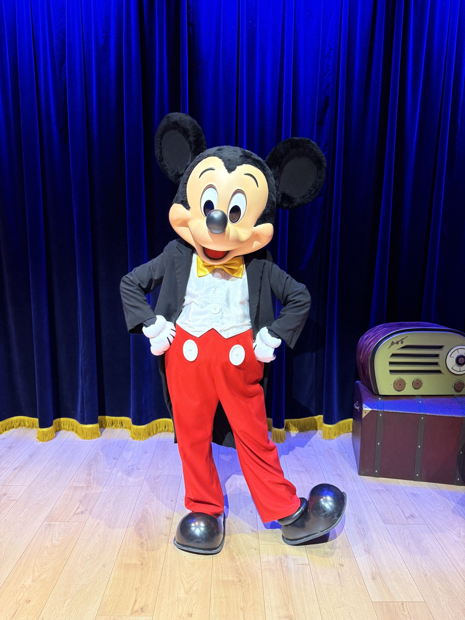 【希少】ウォルトディズニーワールド25周年記念 本革　スタジャン ミッキーマウス 希少】ウォルトディズニーワールド25周年記念 本革 スタジャン