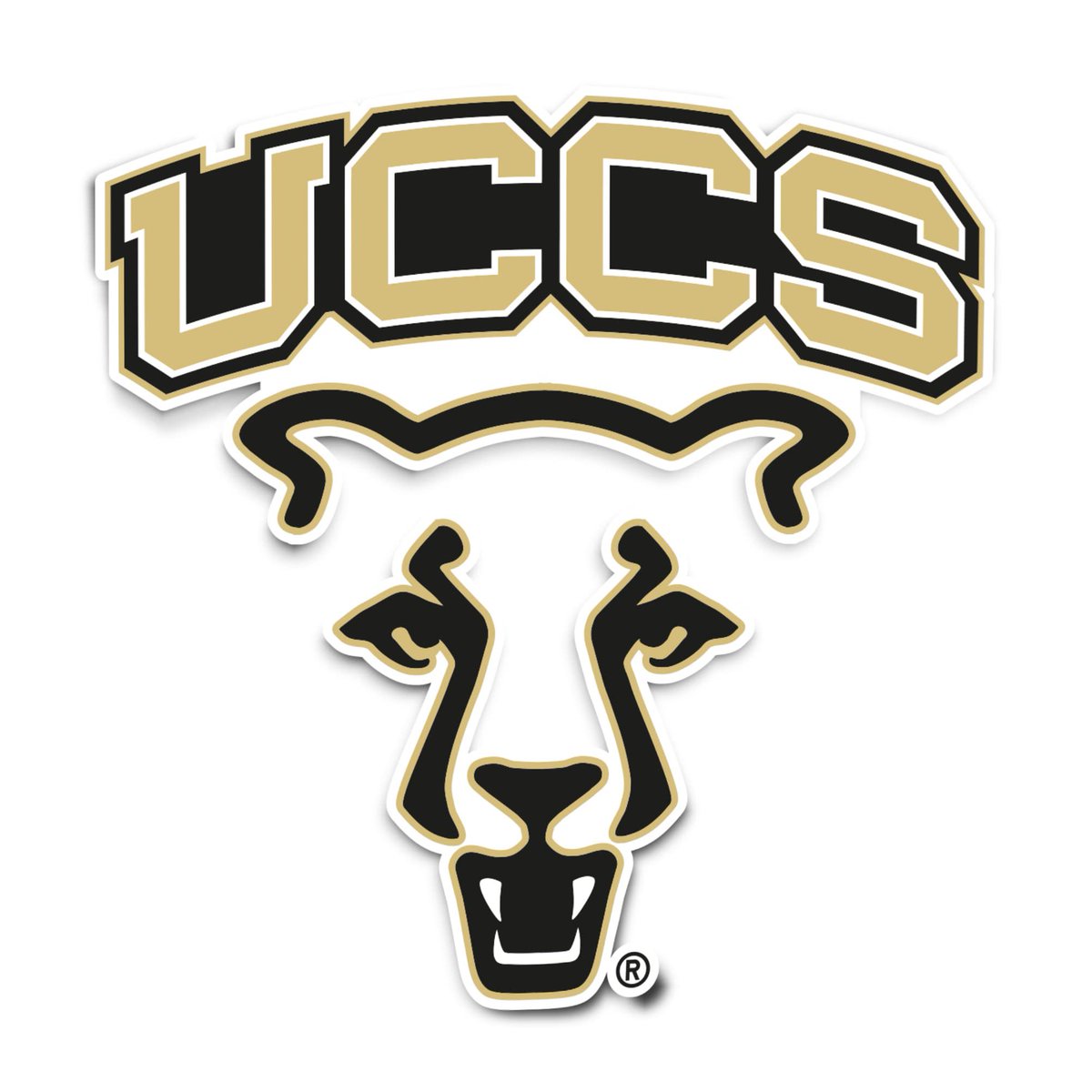 erik_borg001's tweet photo. Blessed to receive my 2nd offer to comepete collegiately after a great visit with Coach Withrow at Colordao Springs University! Go Mountain Lions! #uccs @pjfunnybunny22 @PNWSports_ https://t.co/xPZIxk3hOO