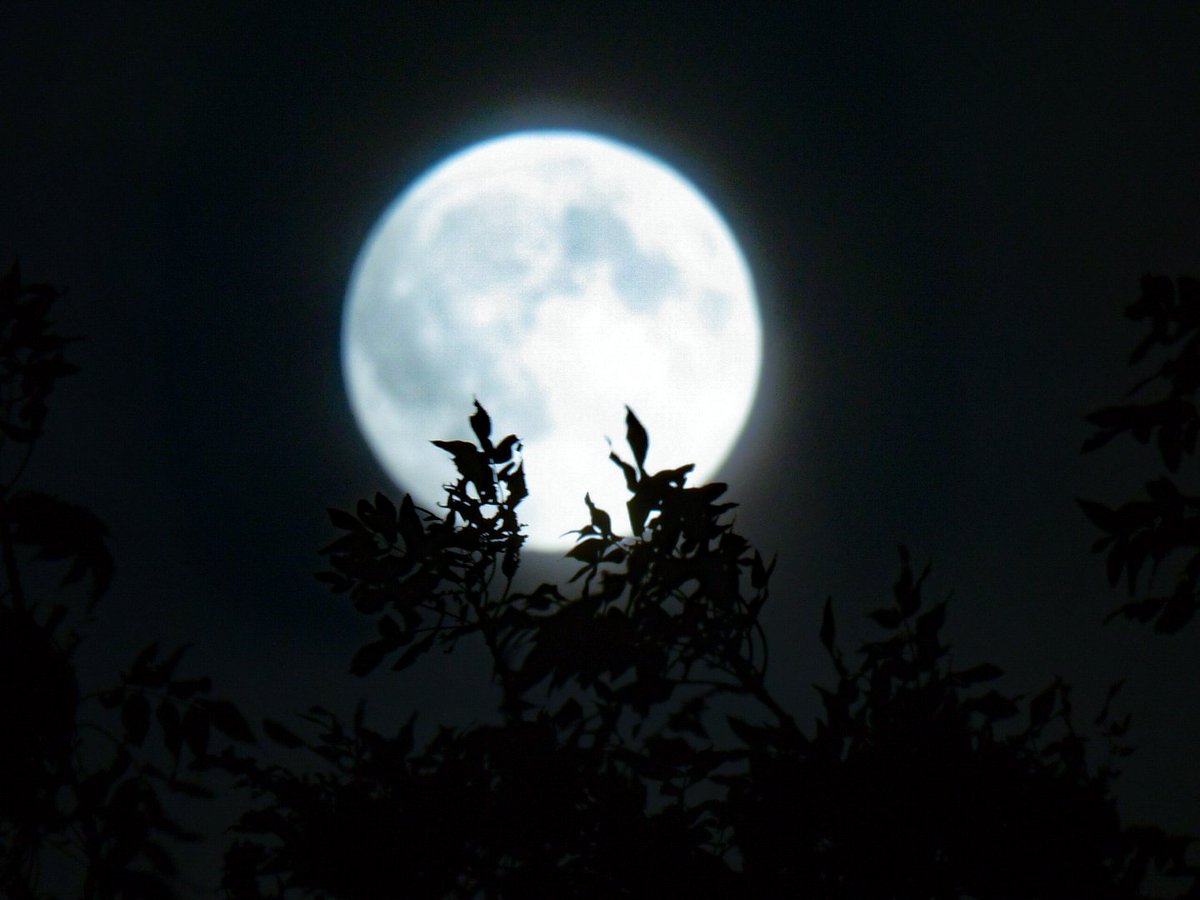 Chris Jones tweet media