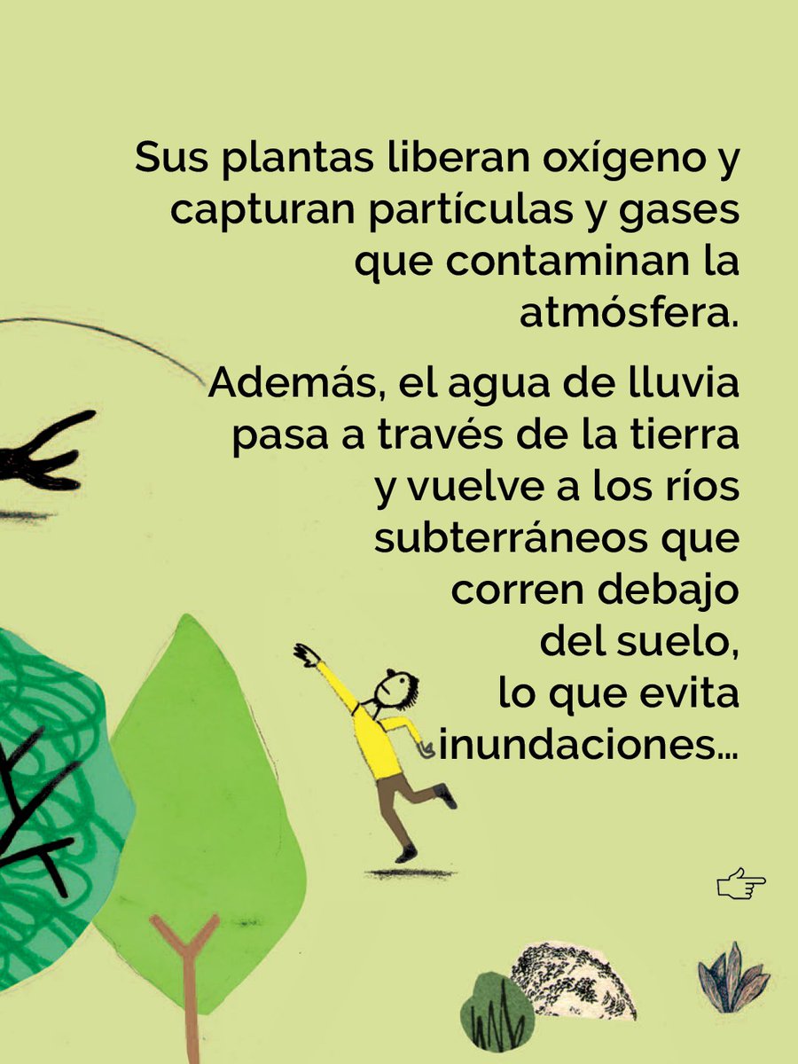 ediciones iamiqué tweet media