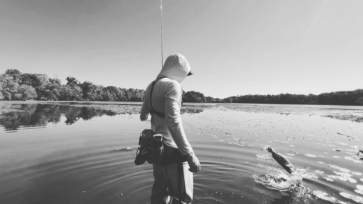 ZackFindsFish tweet media
