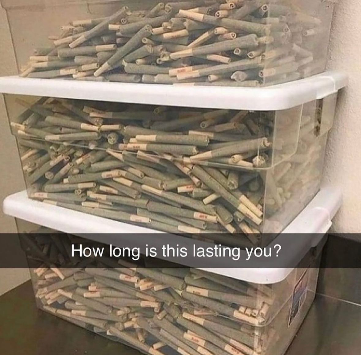 Weed Porn tweet media