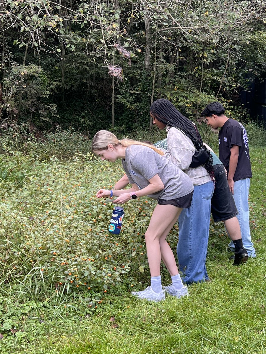 Rogers Mounties tweet media