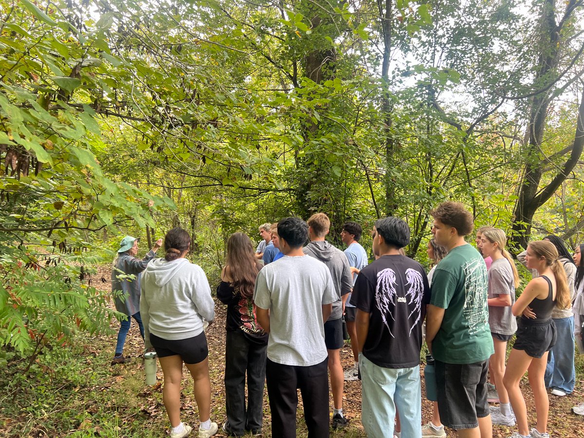 Rogers Mounties tweet media