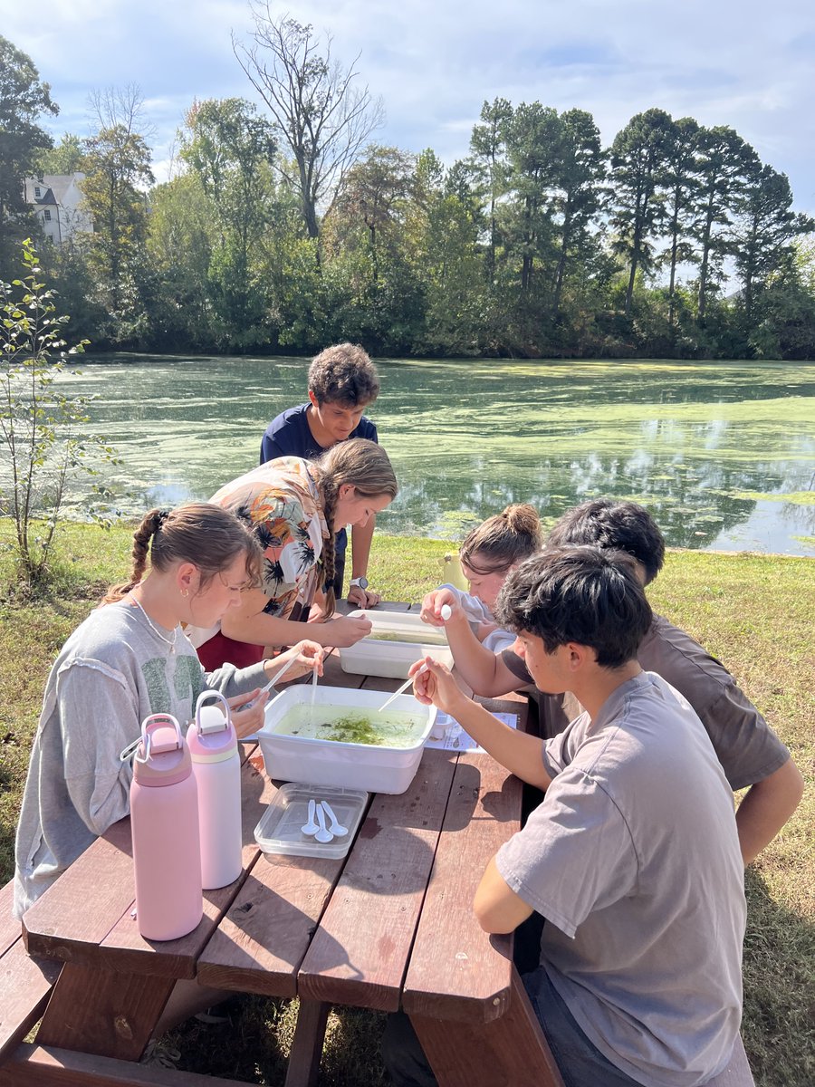 Rogers Mounties tweet media