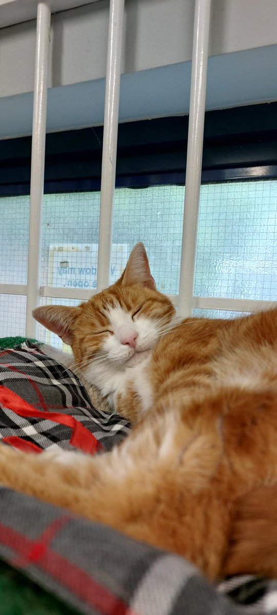 Night night sweet dreamies 

Sometimes the bravest and most important thing you can do is just show up.

If that’s all you managed today, well done 🧡