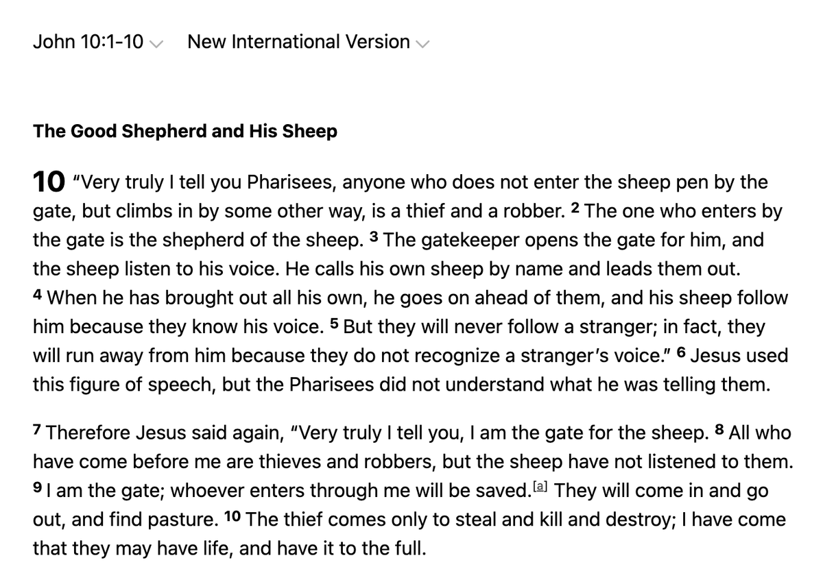 Mx. Punky tweet media