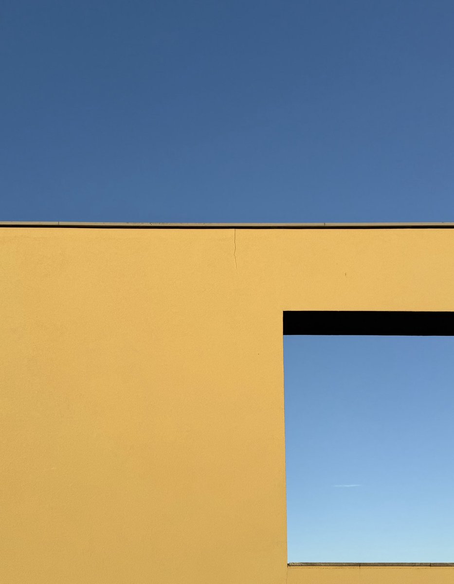 Lynette Murphy tweet media