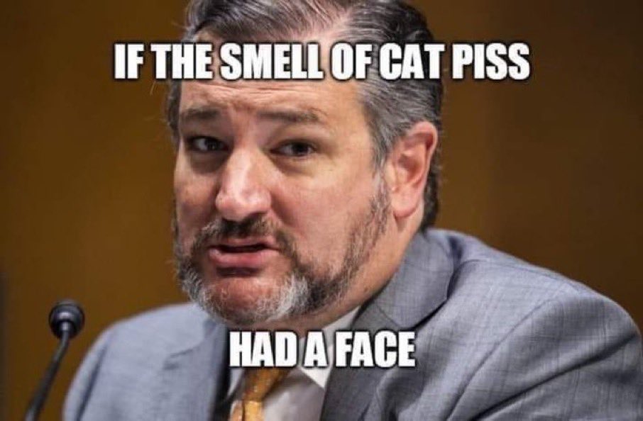 TthTPerson tweet media