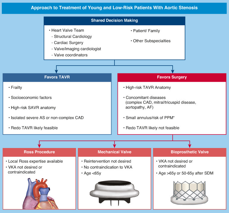 Recent expert opinion: Review of the decision making approach to treating young and low-risk patients with aortic stenosis. Researchers say surgeons should incorporate anatomical factors, evidence-based practices, and patient preferences. Read in #JTCVS: doi.org/10.1016/j.jtcv…