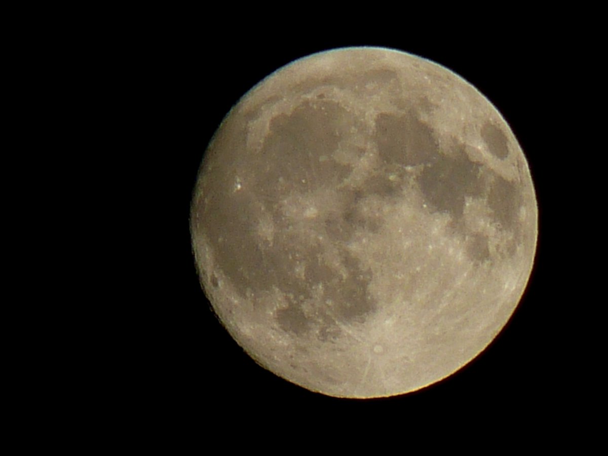 Copiado de <a href="/twitemos186159/">Manel</a>, embora a fotografia seja minha, e o objecto maninho.