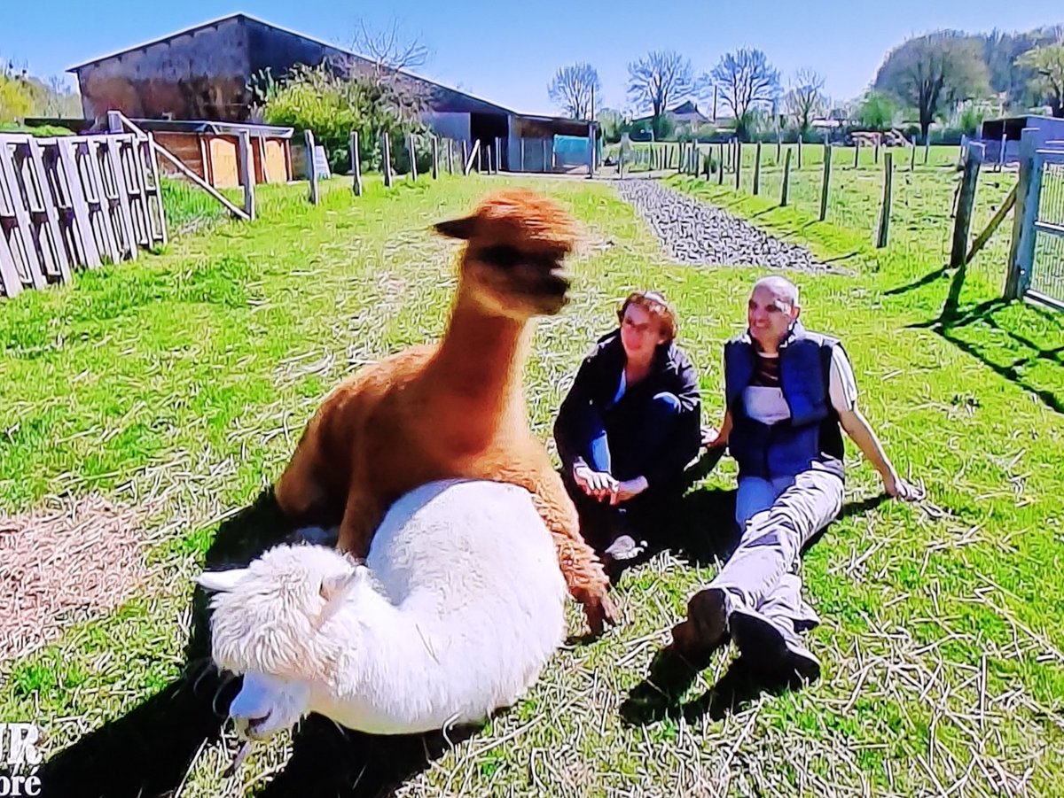 Genance acte 2 ! 😳 #adp2025