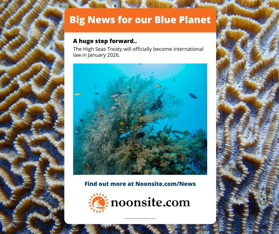 The High Seas Treaty will officially become international law in Jan 2026! 🌊
60 nations, including Morocco, have signed on to protect marine life &amp; restore our oceans. 💙
Noonsite.com - The Ultimate Cruisers Planning Tool
#HighSeasTreaty #OceanConservati