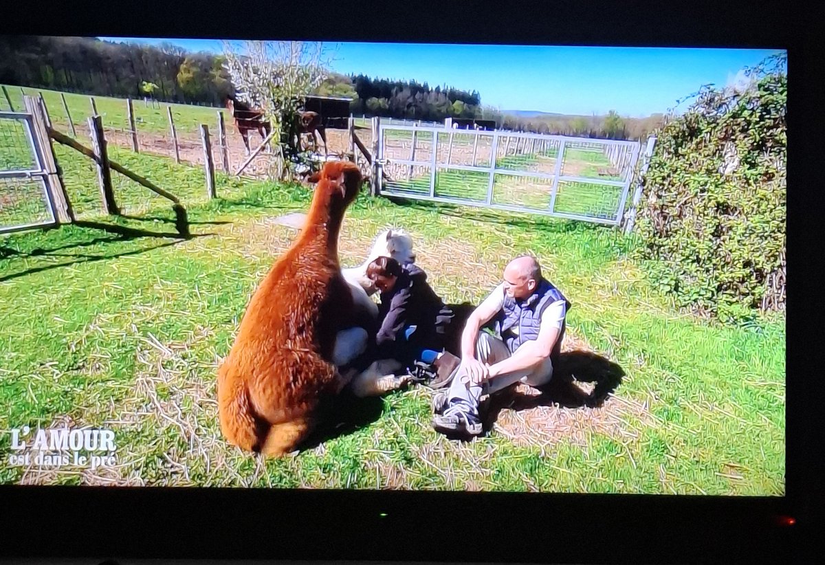 Billy et Virginie tweet media