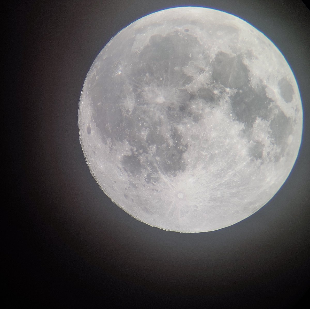 Spaceguy²⁴ tweet media