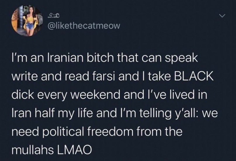 Most of these are forged tweets you can tell from the separation b/w the name &amp; text. Saba’s the only one who has confirmed said that but you’ve gone &amp; slandered 🇵🇰 women on the comments of 1-2 degenerates. Need I remind you of your women? This is the average 🇮🇷 diaspora girl:
