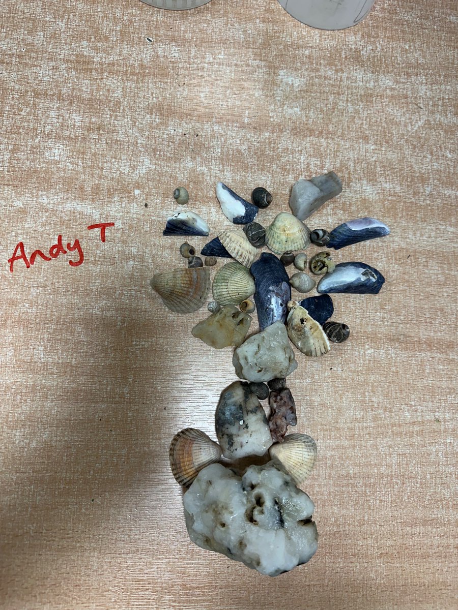 blairvadachAils's tweet image. It’s been a busy night for @StMirinsPS here @BlairvadachOEC They’ve made some beautiful nature-inspired collages, taken part in an evening activity &amp;amp; are now off to bed! #StMirinsBV25 (tweet 1 of 2)