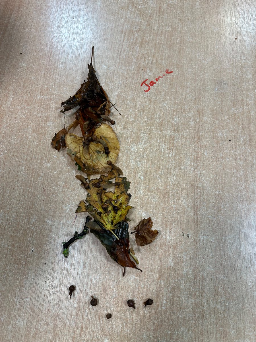 blairvadachAils's tweet image. It’s been a busy night for @StMirinsPS here @BlairvadachOEC They’ve made some beautiful nature-inspired collages, taken part in an evening activity &amp;amp; are now off to bed! #StMirinsBV25 (tweet 1 of 2)