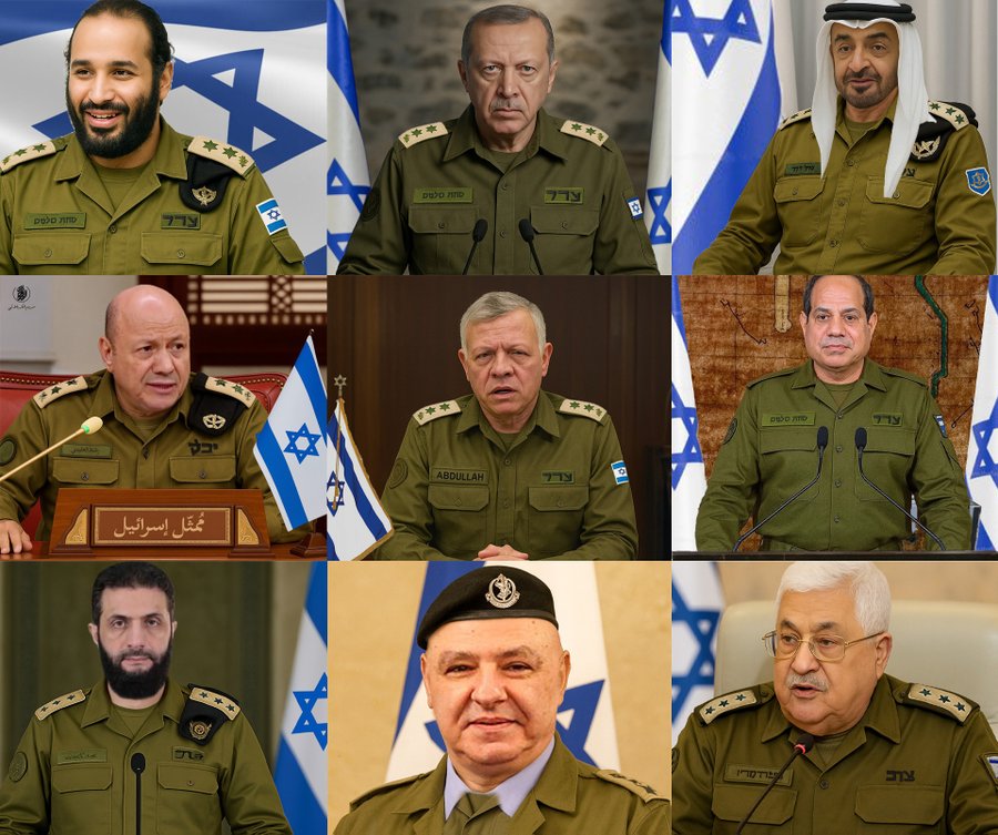 ذو الفقار السلطان tweet media