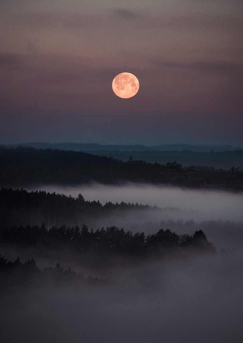 ¡Buenas noches!
Bona nit!

📷 Mathias Koch