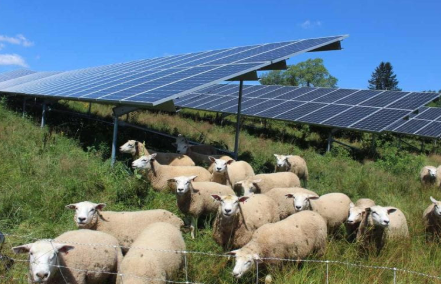 Juls the Harridan🕯️🇺🇦 🕯️ tweet media