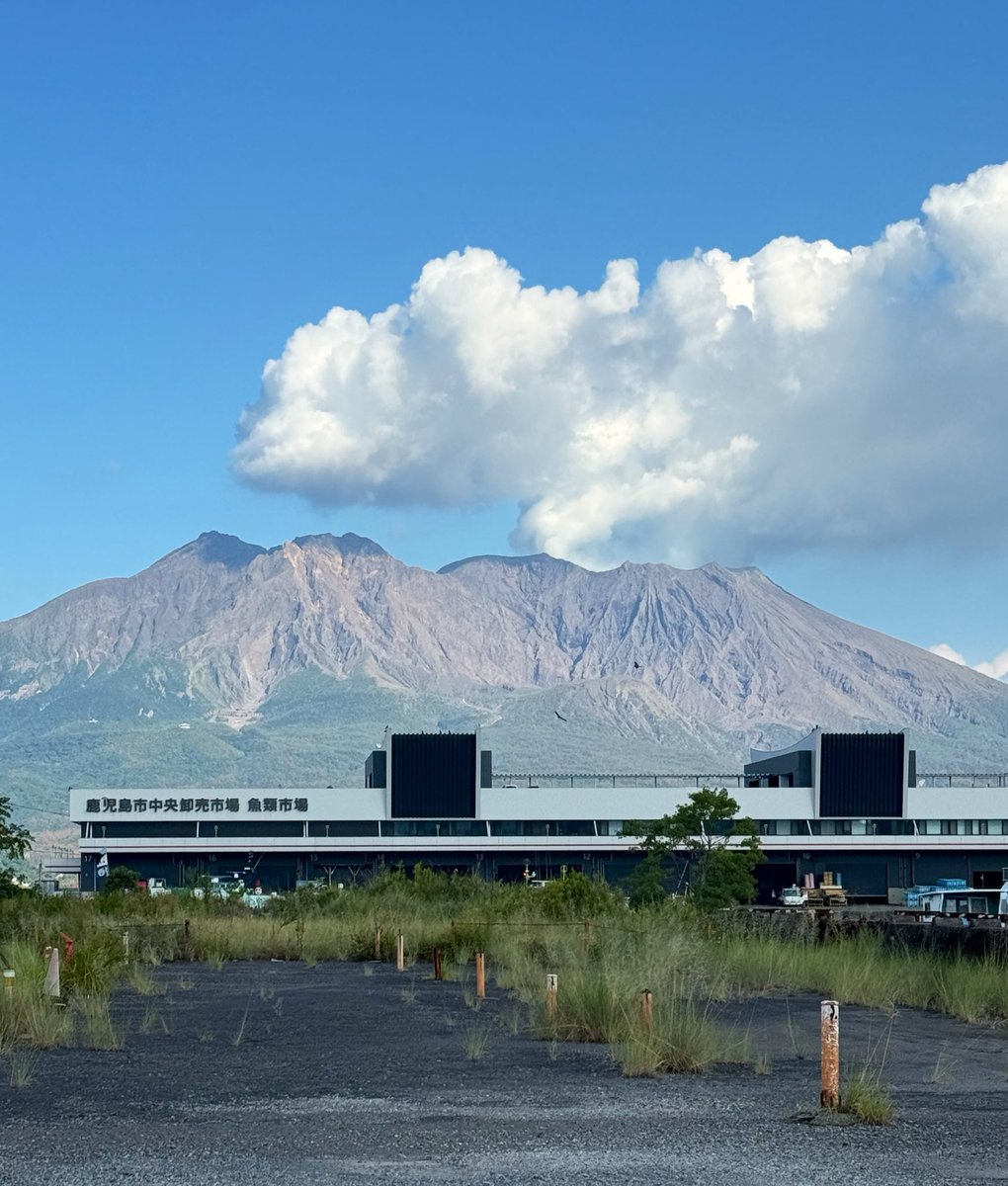 ( ˶˙ᵕ˙˶ )☀️ｵﾊﾖ!
本日は宮崎にて👩‍🏫

年に3回くらい桜島見てるんだけど昨日は結構綺麗に見えてたと思う😳どう？
これが通常時なのかな🤔

今日も頑張ってきます！
皆いつもリプありがとう🫶☺️