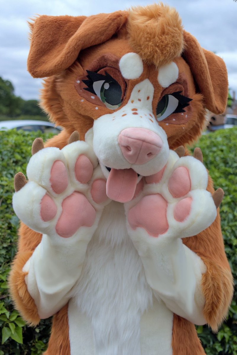 puppy dog eyes

📸 felixphotos