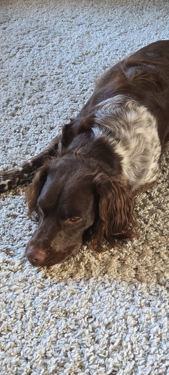 Admcpe Rush tweet media