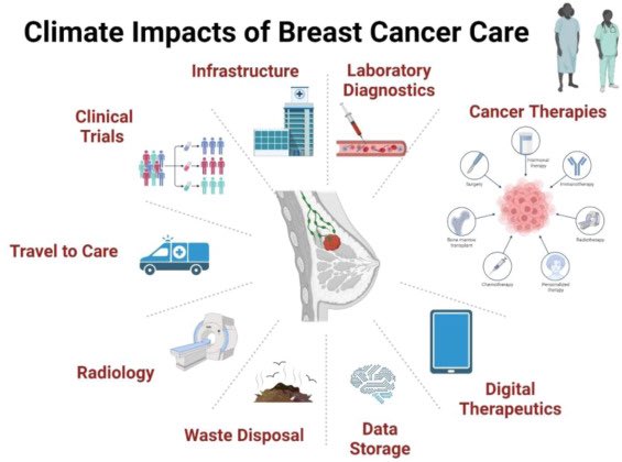 Seamusoreilly18's tweet image. Solution 🌳of Sustainability for Breast Cancer Care 👇
Grateful to ✍️ co- authors for their insights