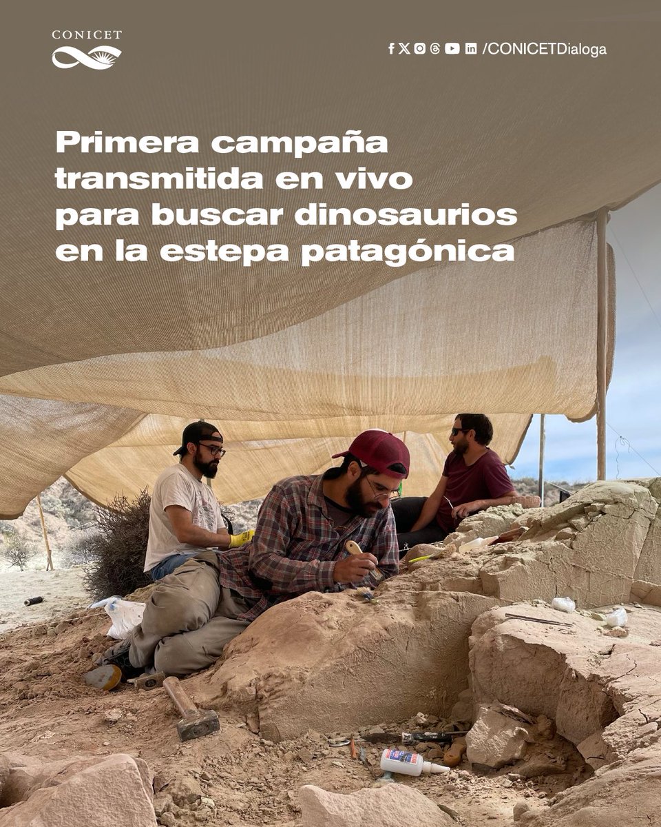 CONICET Dialoga tweet media