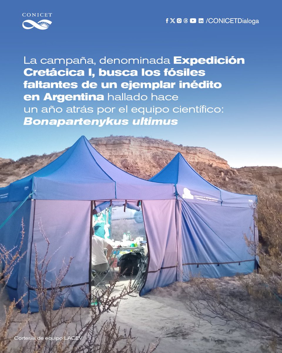 CONICET Dialoga tweet media