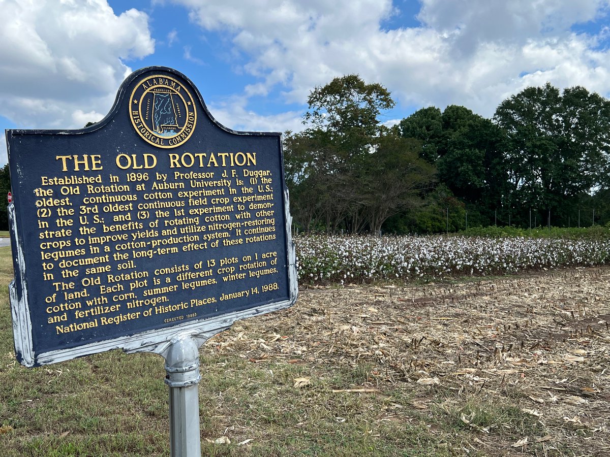 Sometime, when I'm on campus here at <a href="/AuburnU/">Auburn University</a> and feeling a little long in the tooth, I just remind myself that I'm not as old as The Old Rotation <a href="/AuburnAg/">Auburn Agriculture</a> <a href="/aucfwe/">AU College of Forestry, Wildlife and Environment</a>