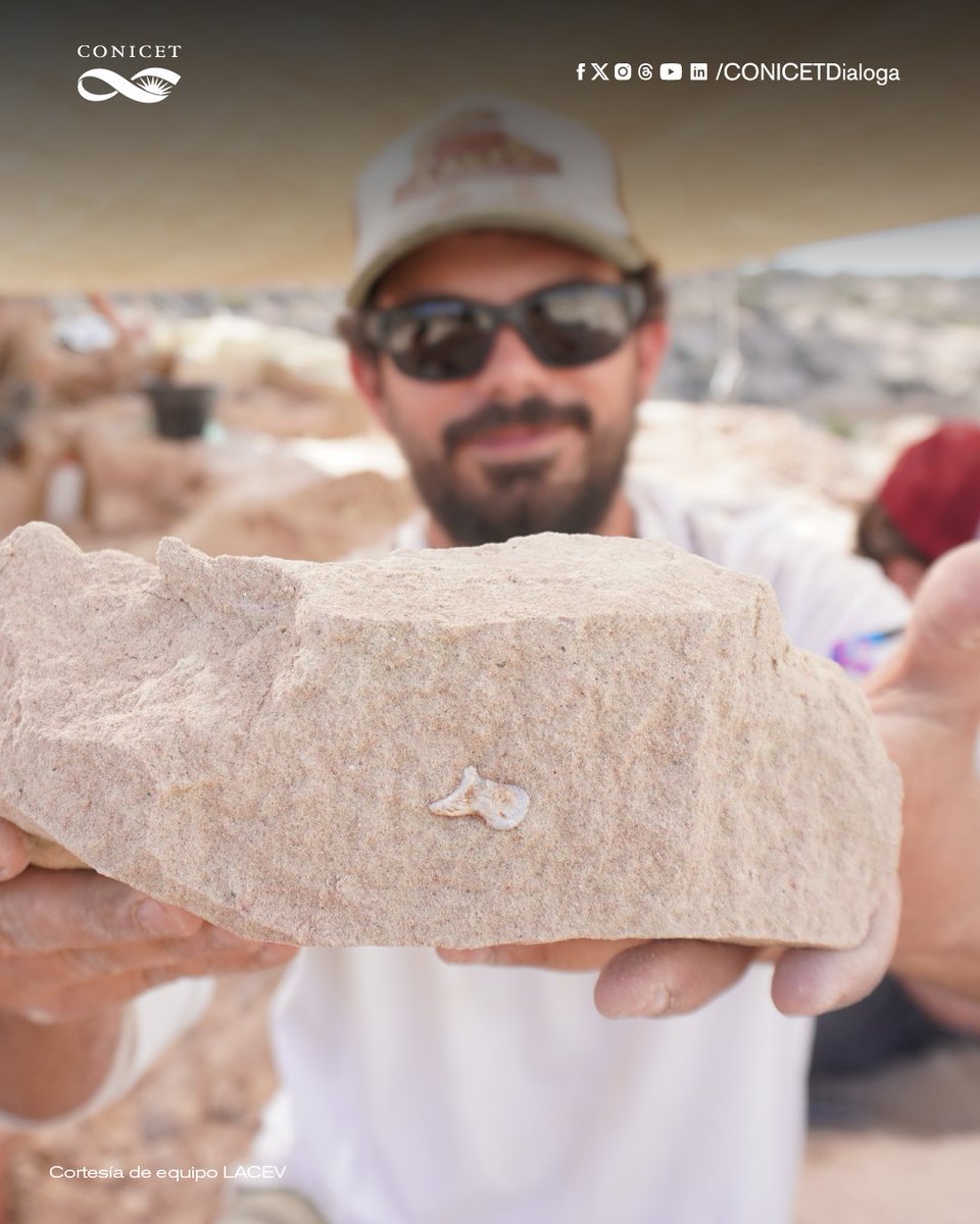 🟣Un equipo de paleontólogos del CONICET realiza una expedición paleontológica en la provincia de Río Negro.
🦖La Expedición Cretácica I busca fósiles que permitan continuar el trabajo que comenzó un año atrás, cuando miembros del equipo descubrieron la garra de un dinosaurio