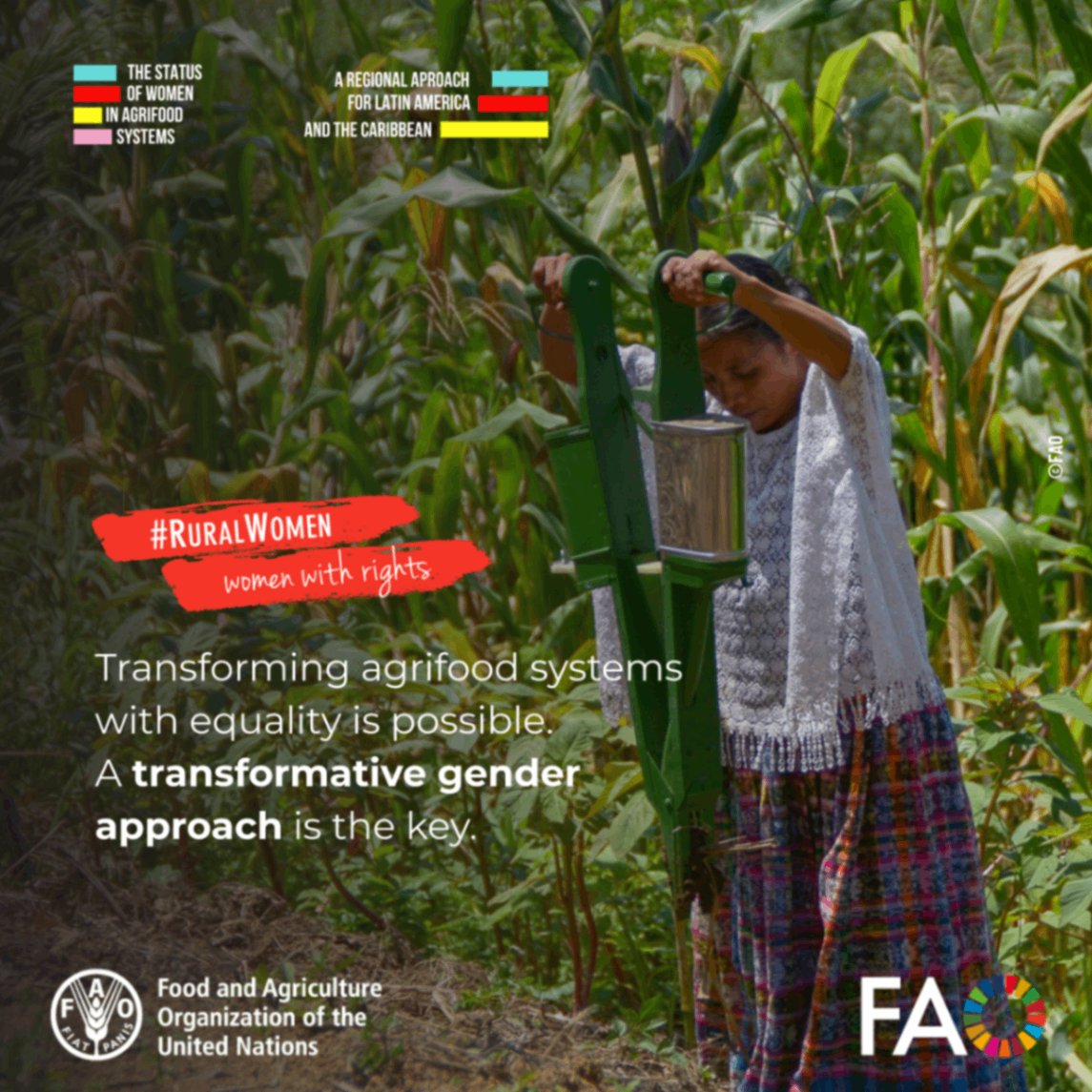 FAOCaribbean's tweet photo. 📖 New @FAO report.
Inequality has figures, causes, and solutions.
How can we transform #AgriFoodSystems in Latin America and the Caribbean by putting women at the center?
🔗 https://t.co/Vj6PNcCVes
#RuralWomen #WomenWithRights #LetsGrowEquality https://t.co/WI49HLZ0AX