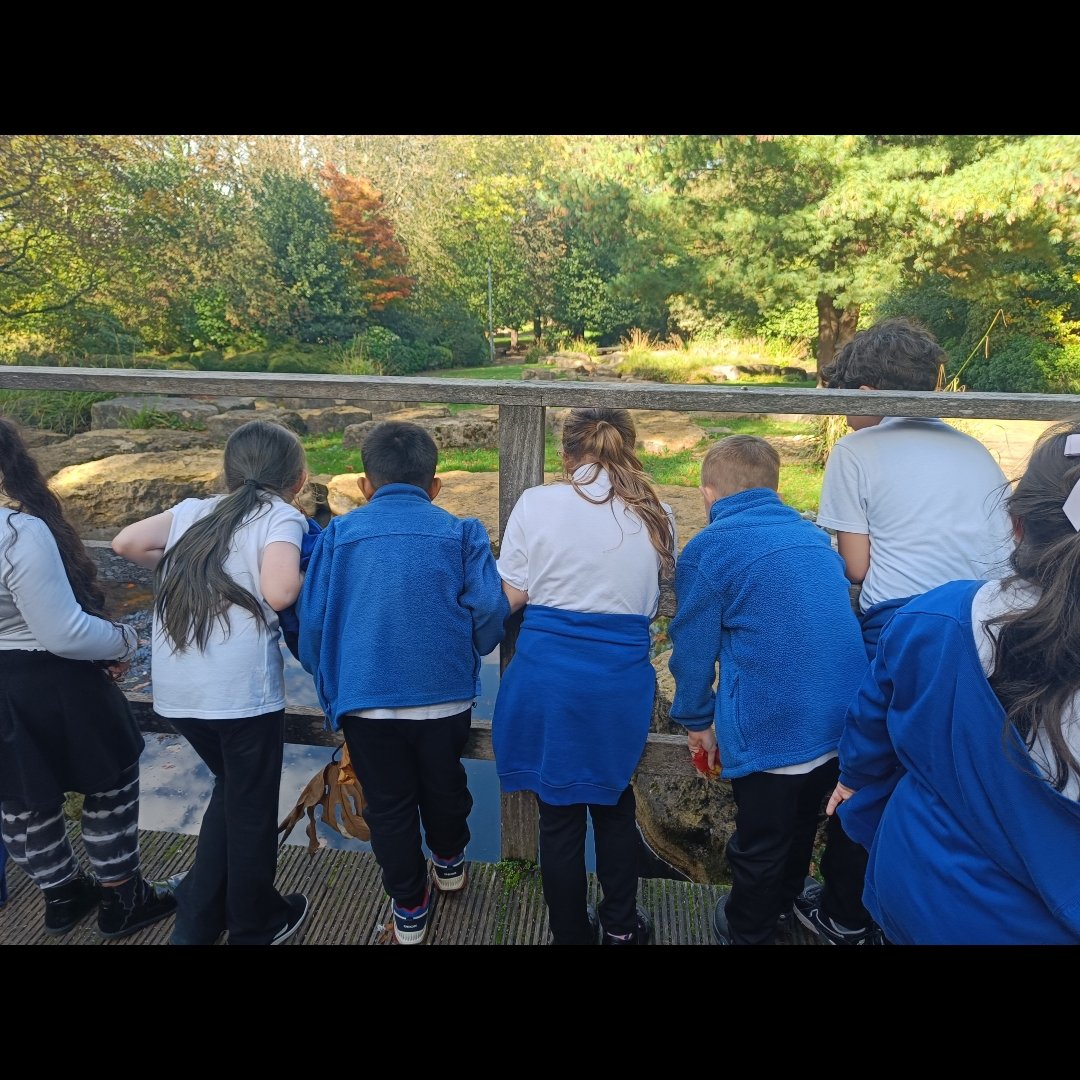 A brilliant afternoon for Y4 at Clifton Park! 🌿 We explored habitats, discovered living things and collected leaves for our next classification lesson. #FutureScientists 🔬