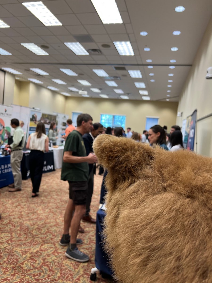 A bear's-eye view of the recent career fair here at the College of Forestry, Wildlife and Environment <a href="/aucfwe/">AU College of Forestry, Wildlife and Environment</a> at <a href="/AuburnU/">Auburn University</a>