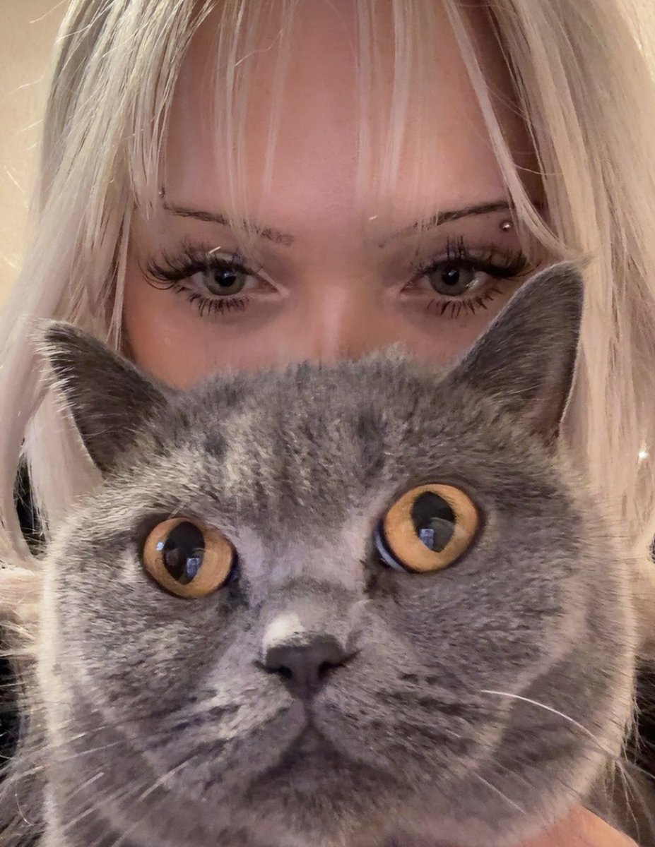 catscry2's tweet image. so lesen wir kommentare also wenn ihr mich beleidigt sieht sie das auch